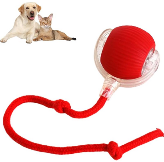 Smart Interactive Rolling Pet Ball
